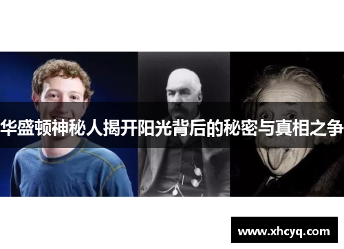 华盛顿神秘人揭开阳光背后的秘密与真相之争