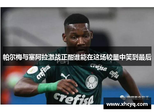 帕尔梅与塞阿拉激战正酣谁能在这场较量中笑到最后