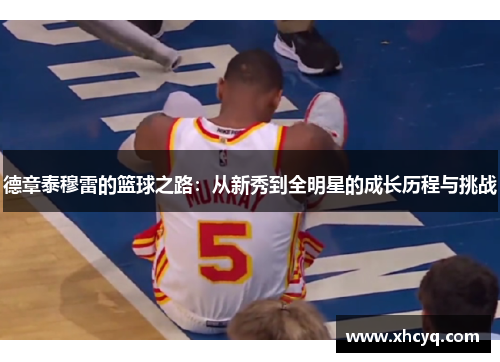 德章泰穆雷的篮球之路：从新秀到全明星的成长历程与挑战